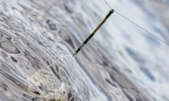 Guru Feederlinks -Guru Verkoopwinkel guru feederlinks 6